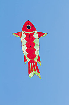 空中的大鱼风筝