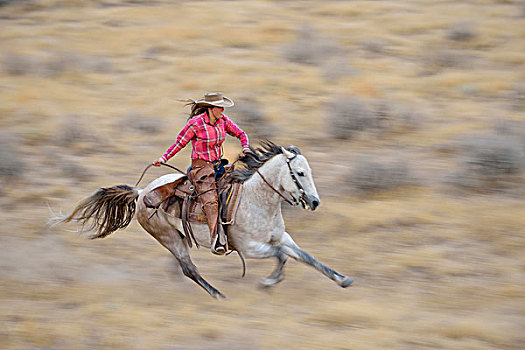 动感,女牛仔,骑马,驰骋,荒野,落基山脉,怀俄明,美国