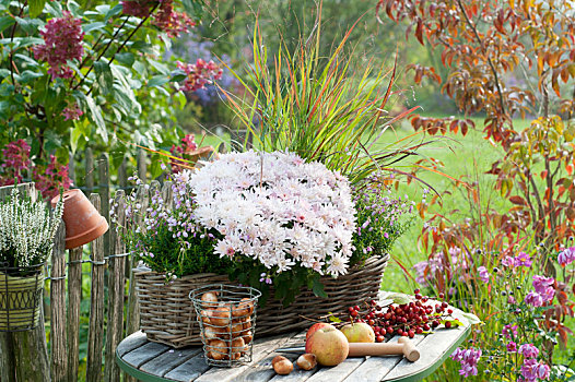 秋天,安放,桌上,花园栅栏