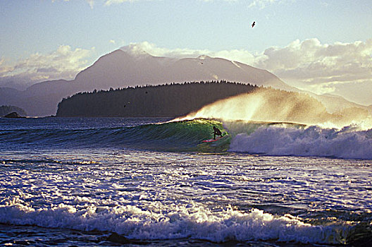 冲浪,日出,秘密,斑点,靠近,温哥华岛,不列颠哥伦比亚省,加拿大