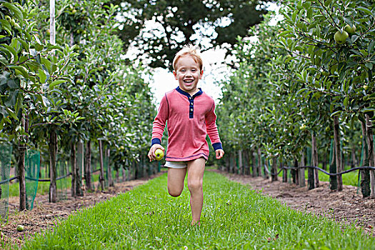 男孩,跑,苹果园
