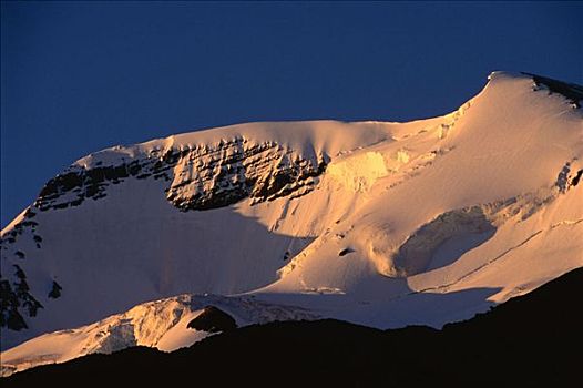 山,阿萨巴斯卡,哥伦比亚冰原,加拿大,岩石,艾伯塔省