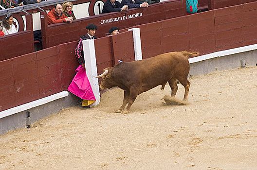 斗牛,马德里,西班牙