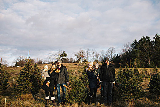 父母,女婴,圣诞树园,安大略省,加拿大