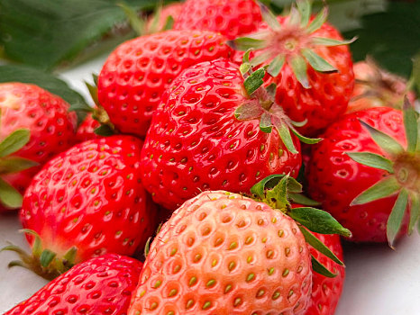 草莓,草莓上市