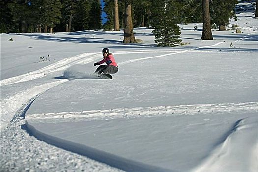 女青年,滑雪板