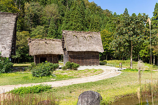 传统,房子,日本