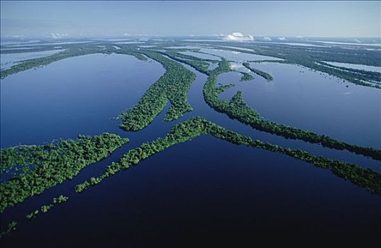 群岛,中间,里奥内格罗,河,公里,宽,亚马逊河,生态系统,巴西