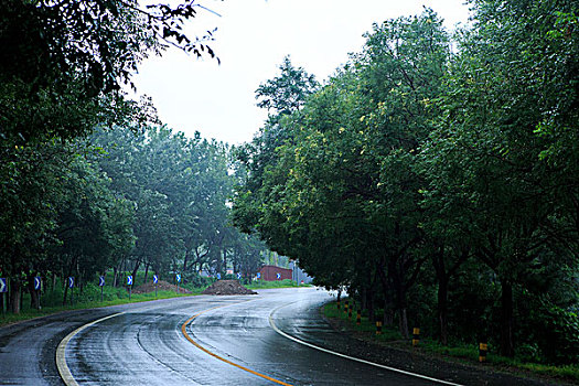 北京永定河左堤路,雨后路面