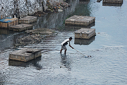 渔民,清洁,塑料制品,垃圾,河,围绕,竹篮,鱼肉,代码,尝试,销售,三个,价格,日惹,印度尼西亚,六月,2008年