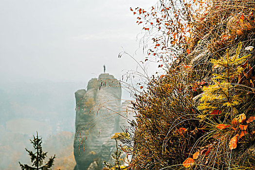 秋色,砂岩,山,靠近