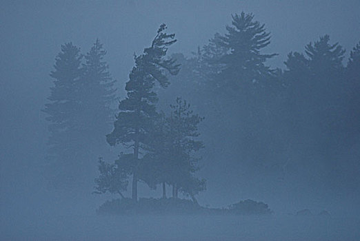 早晨,薄雾,孤单,岩石上,湖,阿尔冈金公园,安大略省,加拿大