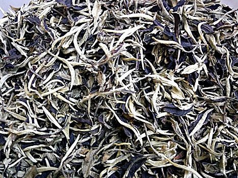 小种红茶茶叶