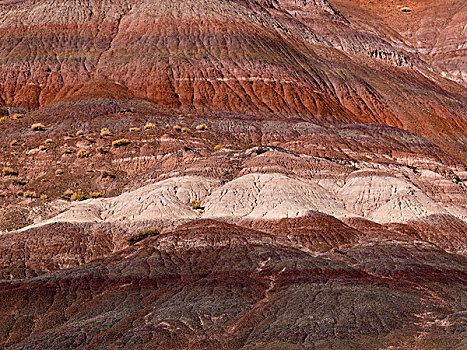 砂岩,悬崖,帕瑞亚谷,犹他,美国