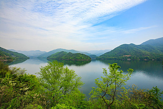 水库,山水,生态