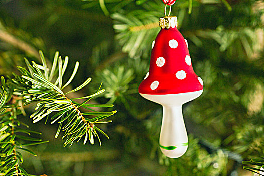 蘑菇,形状,圣诞饰品,树上