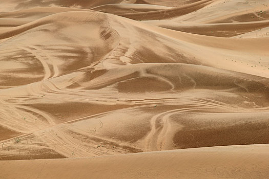 美丽的银川腾格里沙漠