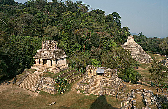 俯拍,古遗址,庙宇,帕伦克,玛雅,恰帕斯,墨西哥