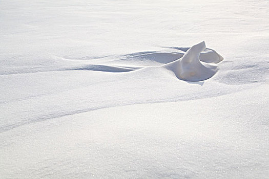 西安乡村雪景