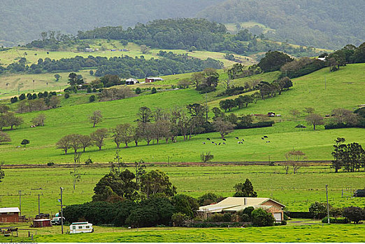 俯视,乡村,城镇,新南威尔士,澳大利亚