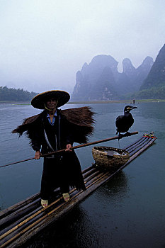 中国,广西,靠近,桂林,漓江,雨,捕鱼者,竹子,筏子,鸬鹚
