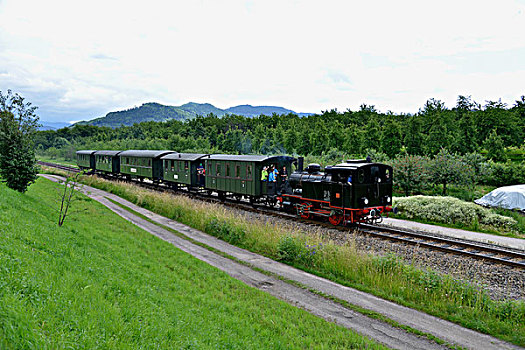 历史,蒸汽,服务,夏天,两个,靠近,黑森林,巴登符腾堡,德国,欧洲