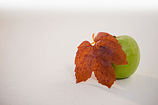 特写,青苹果,秋叶,白色背景
