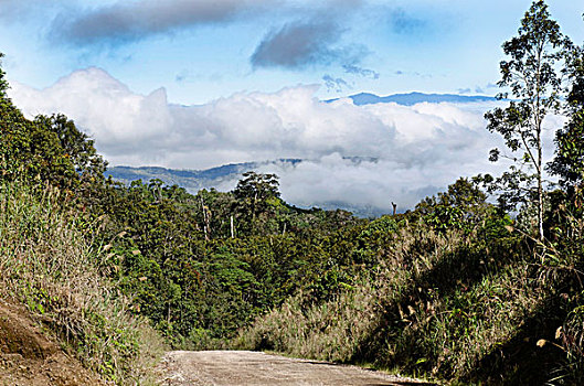 高地,公路,雨林,巴布亚新几内亚,大洋洲