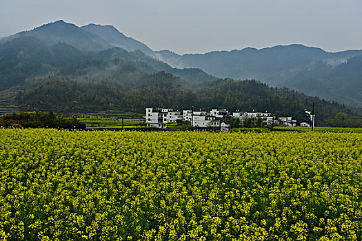 江南雾里乡村