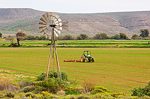 风车,灌溉,泵,拖拉机,地点,西部,省,南非,非洲