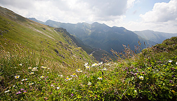 风景,山,罗马尼亚