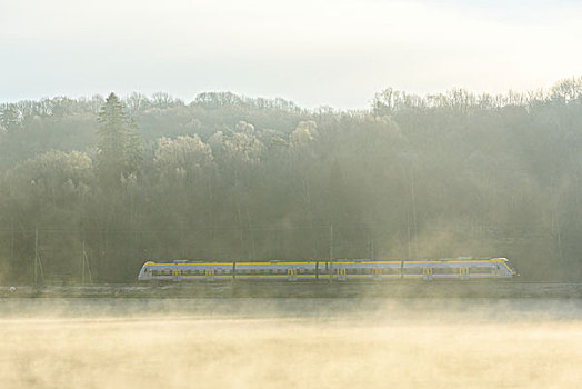 列车,移动,雾状,风景