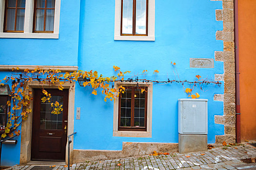 德国罗腾堡童话镇古老的街道上商家独特的绿墙