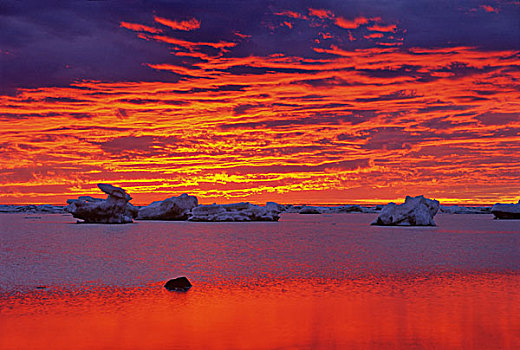加拿大,哈得逊湾,浮冰,水上,日落,画廊
