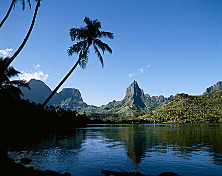 法属玻利尼西亚,茉莉亚岛,风景,岛屿,大幅,尺寸