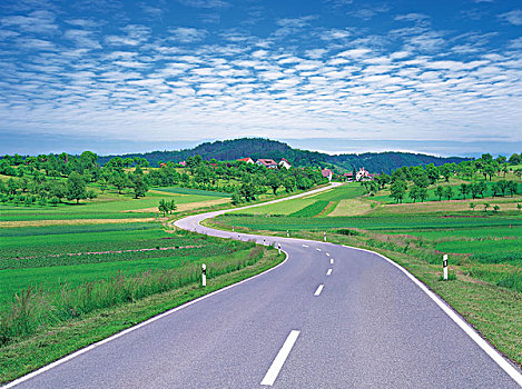 道路,通过,风景