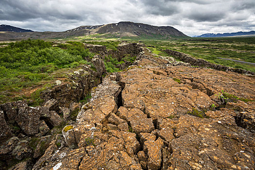 国家公园,冰岛,断层,风景,北美,欧亚混血,盘子,金色,圆,旅游