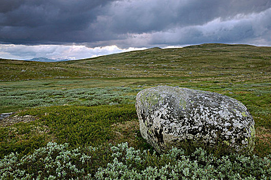 高原,靠近,哈旦格尔维达,挪威,斯堪的纳维亚,欧洲