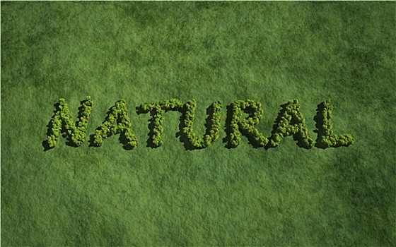 自然,创作,树,草,背景