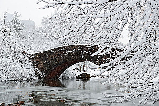 中央公园,冬天,石桥,曼哈顿中城,纽约