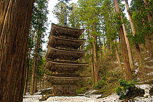 木质,塔,传统,印度教,日本神道