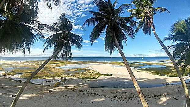 沙滩,岛屿,菲律宾