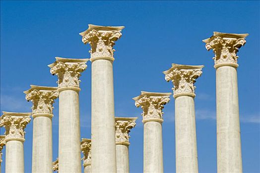 古罗马广场,柱子,寺庙,罗马,意大利