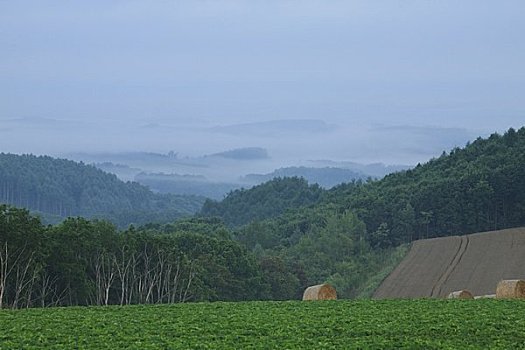 乡村风光,早晨