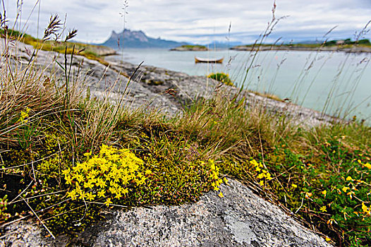 挪威,石头,景天属植物,传统,木质,渔船,锚定