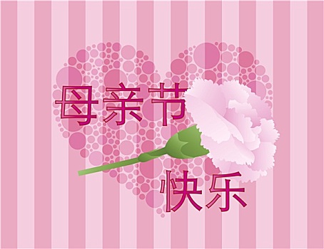 母亲节,中国,粉色,康乃馨,花,插画