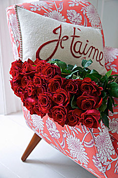 红玫瑰,垫子,爱情,宣言,扶手椅