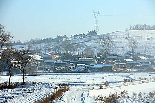 雪野,北方,東北,大雪,原野,土地,冬季,潔白,干凈,風景,村莊,農村