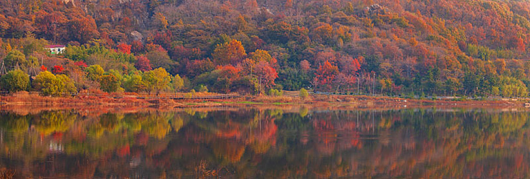 湖边的秋色