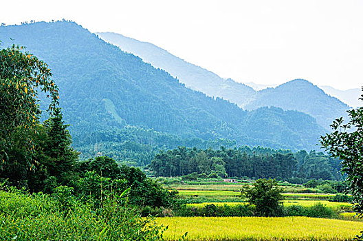 桂林山景秋色